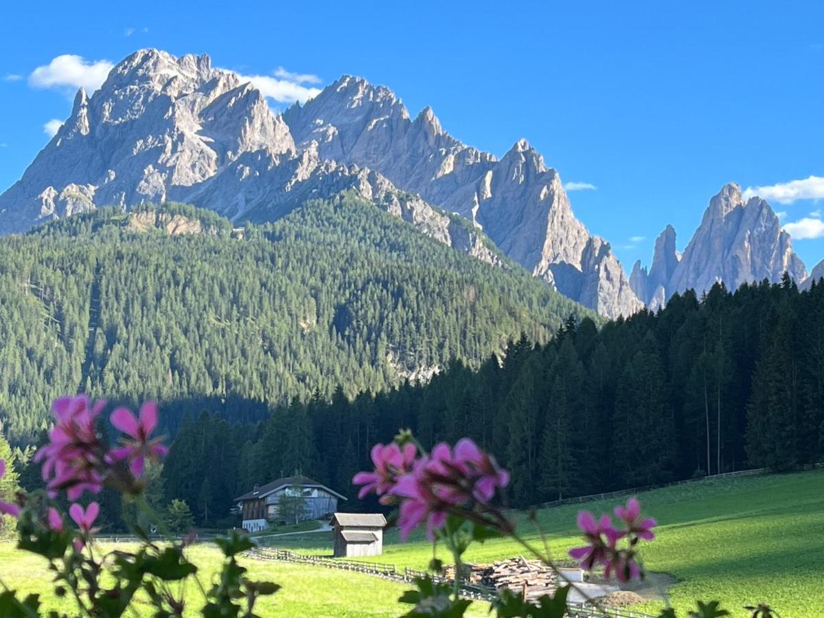 Le Crode Apartment Sexten Bagian luar foto